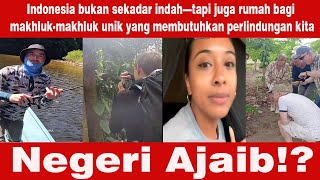 A Foreigner Cries When He Meets a Rare Creature in Indonesia!?