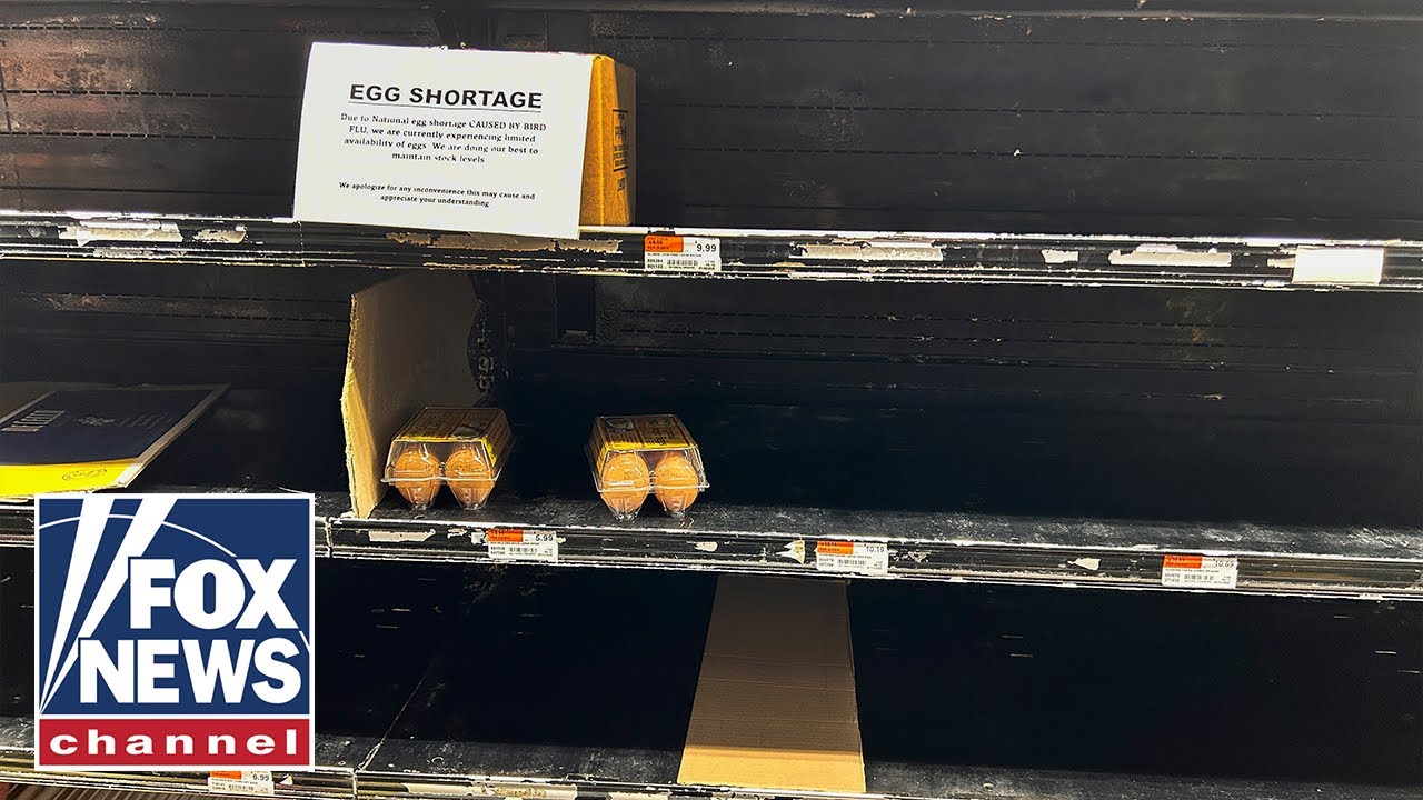 USDA predicts spike in egg prices amid bird flu, egg shortages - YouTube
