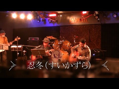 忍冬　因幡晃　カバー