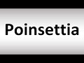 How to Pronounce Poinsettia