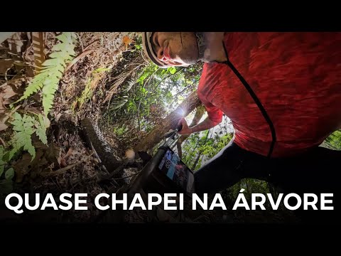QUASE CHAPEI EM UMA ÁRVORE E TESTANDO A NOVA GOPRO MAX 2