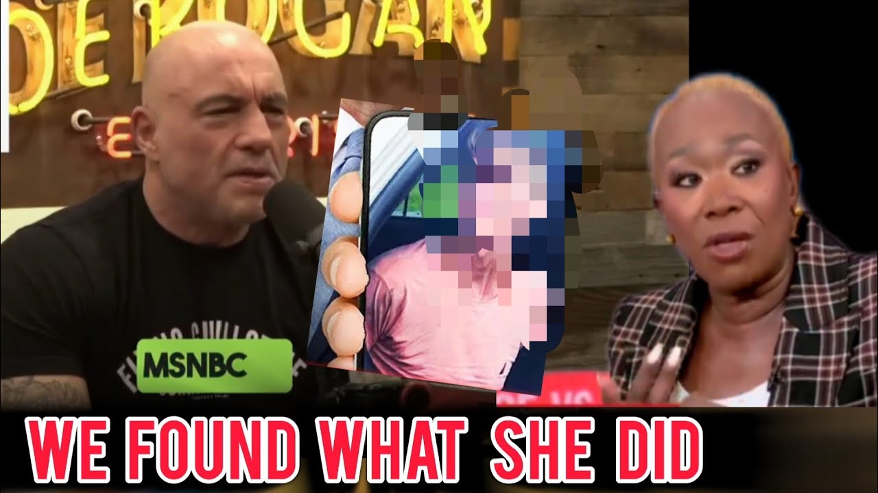 Joe Rogan Msnbc The Internet Is EXPLODING as Joe Rogan Unleashes on MSNBC after Getting ...