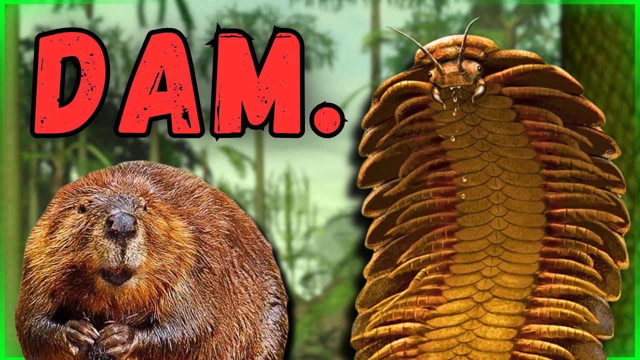 Could Beavers Survive the Carboniferous? | Dam strait - YouTube
