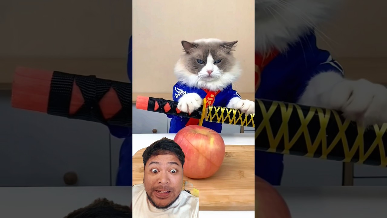 I can cut an apple like a samurai without touching it!🍎⚔️
