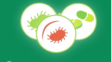 Antimicrobial Resistance. The role of food and agriculture