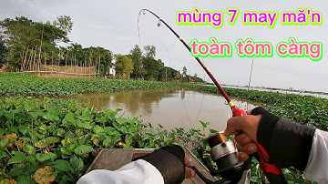 câu tôm ngày hạ niêu thật may mắn ...kéo tôm càng liên tục