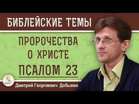 ПСАЛОМ 23.  ПРОРОЧЕСТВА О ХРИСТЕ.  Дмитрий Георгиевич Добыкин