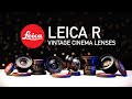 Leica r  vintage cine lenses for filmmakers