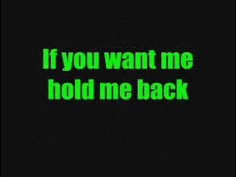 Seether Remedy lyrics video