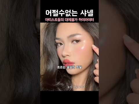 메이크업 아티스트들의 대체불가템이라는 <strong>샤넬</strong>