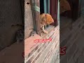 وبحبك يا ستموني مهما ـ الناس لاموني اكسبلور تيك توك حالات واتس اب حزينه فراق تبقي