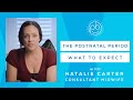 What to expect in the postnatal period  free workshop  midwife advice  the positive birth company