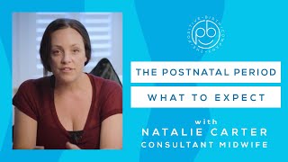 What to Expect in the Postnatal Period | FREE workshop | Midwife Advice | The Positive Birth Company