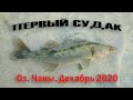 Первый судак. Оз. Чаны. Декабрь 2020