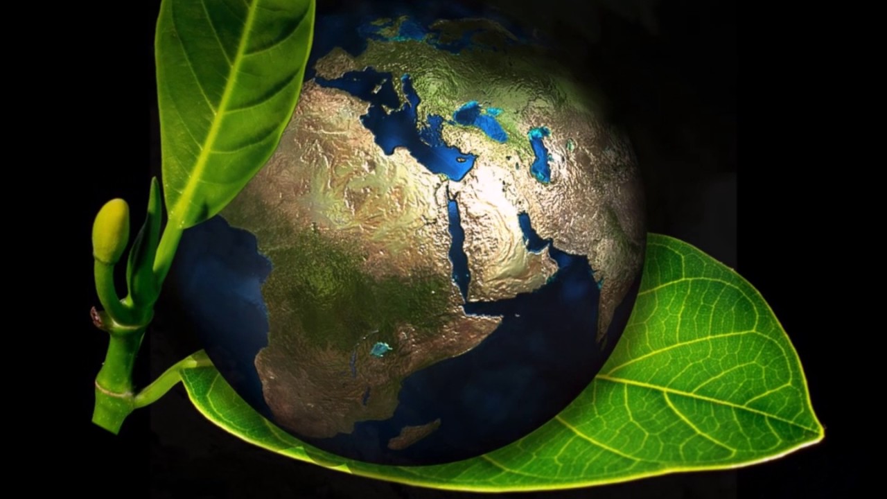 混声合唱 木を植える 文京混声合唱団 Youtube