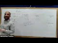 MDCAT: Biology: Enzymes