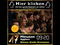 Zauberkonzert | Großen Saal Wiener Musikverein | Francisco Navarro Lara &amp; Wiener KammerOrchester