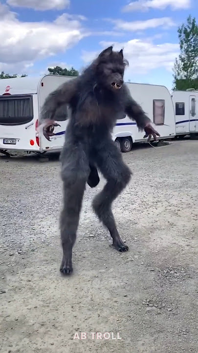 Black Wolf Can't Scary 💀 #shorts