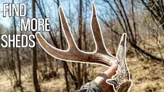 10 SHED HUNTING TIPS