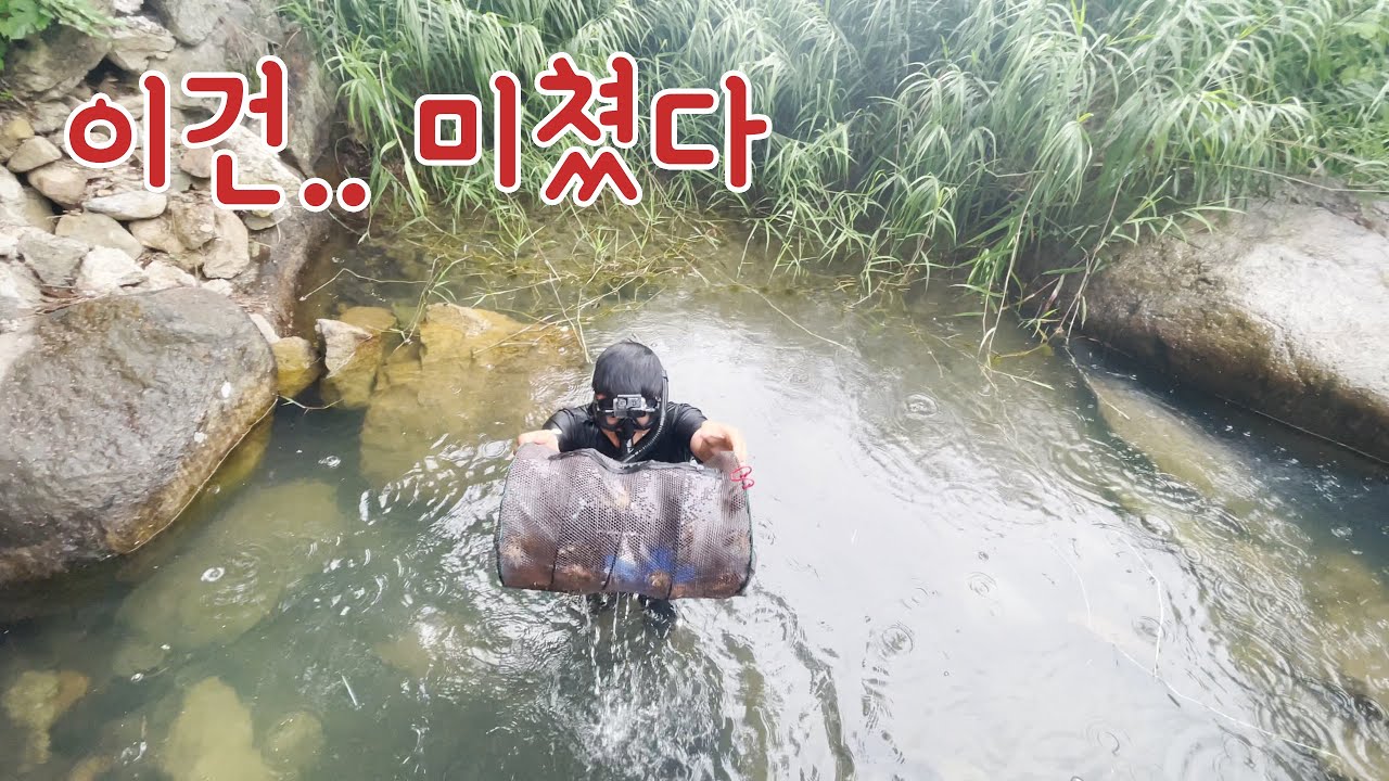 ㅁ ㅏ~ 이게 바로 계곡 통발이지~! 아무도 찾지 않는 계곡에 통발을 놓으면 생기는 일