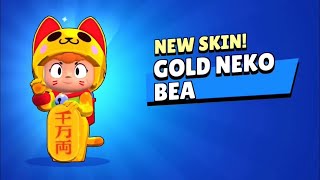 Brawl Stars New Skin D Neko Bea