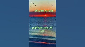 تلاوة خاشعة ومؤثرة بصوت جذاب ومميز #القرآن_الكريم #تلاوة_خاشعة #اكسبلور #دويتو #تلاوة_خاشعة #duet