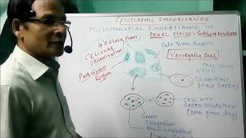 XII Bio   Botany  Chapter  2 Classical Genetics   Part  III Cytoplasmic inheritance and atavism  Vid