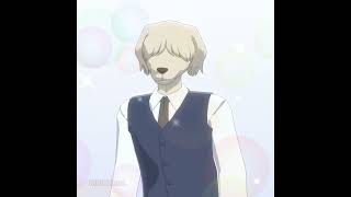 HBD Collot! | Beastars Animation