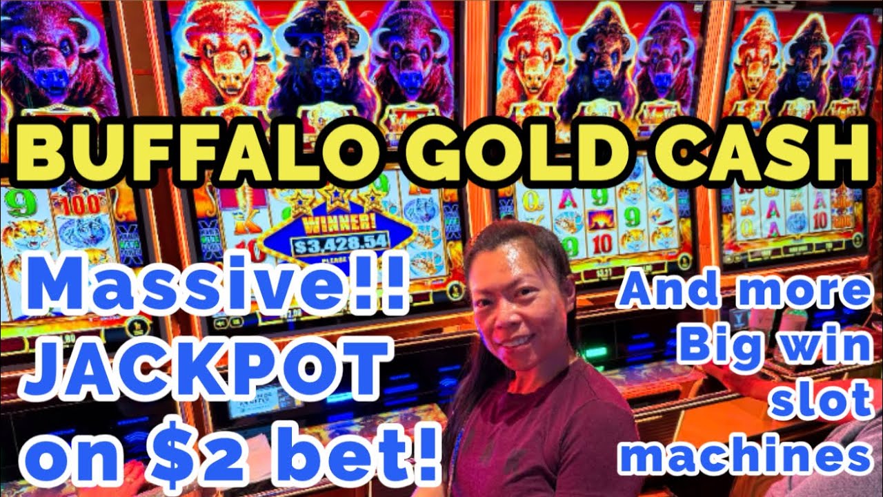 MASSIVE JACKPOT ON $2 BET BUFFALO GOLD CASH SLOT👏MAJOR JACKPOT PIGGY BANK🔥BIG WIN ALL ABOARD & More!