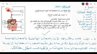 علوم طبيعية للسنة الرابعة متوسط تمرين على الهضم