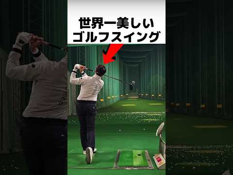 世界一美しいゴルフスイング