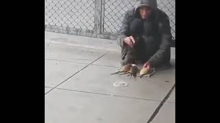 The result of a homeless person training the rats in the city. #rat  #ratatouille  #viral  #shorts s