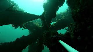 Bunbury artificial reef: the fishing keeps getting better and better