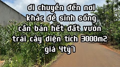 chị lệ cần tiền nên bán gấp lô đất tâm huyết của mình để trả nợ tại châu đức bà rịa vũng tàu giá rẻ