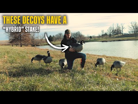 Why you NEED the GHG Hunter Series Lessers!