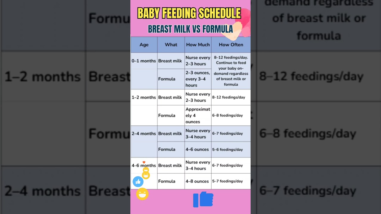 10 Month Old Baby Breastfeeding Schedule