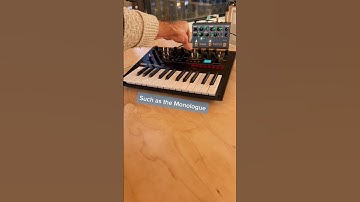 Strymon NightSky 😮‍💨 #strymon #monologue #minecraft #synth #moogaudio #shorts