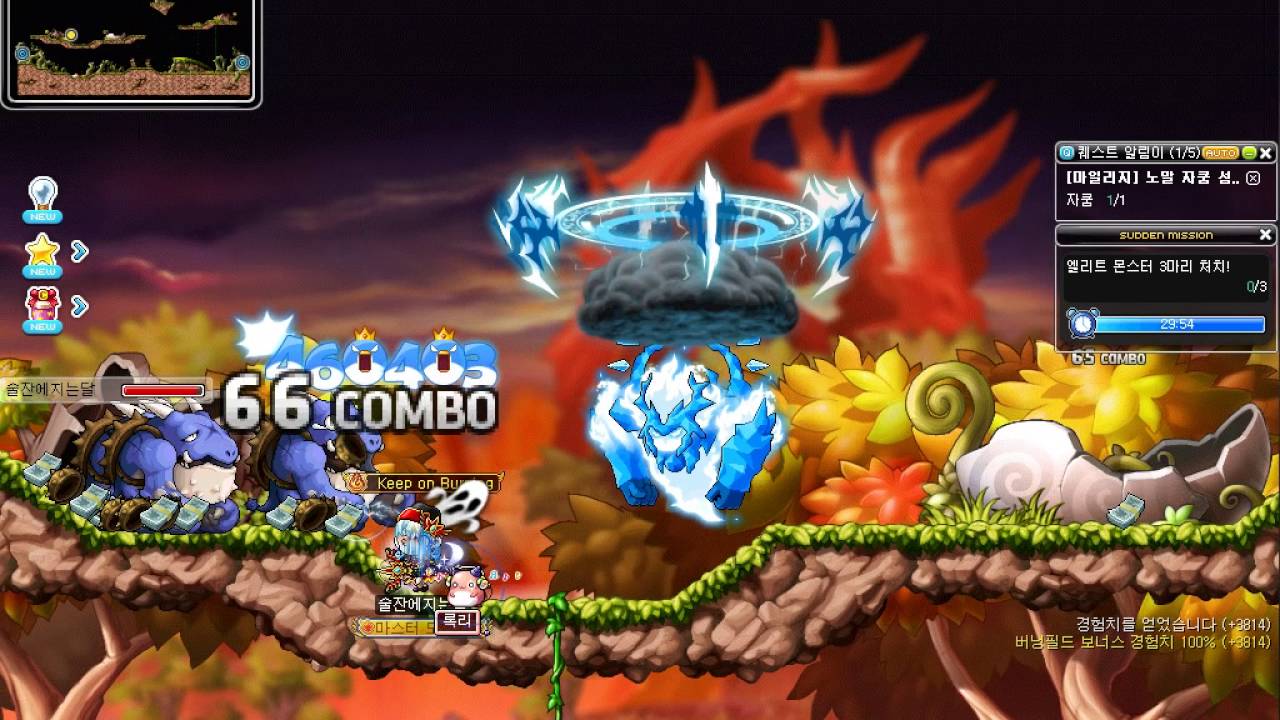 메이플 예티x페페 데미지스킨 : 네이버 블로그