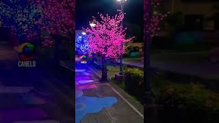 La Navidad Parque De Chinandega