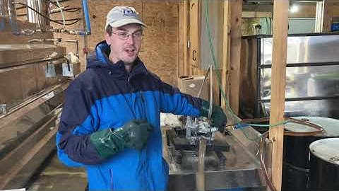 Filtering maple syrup