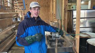 Filtering maple syrup