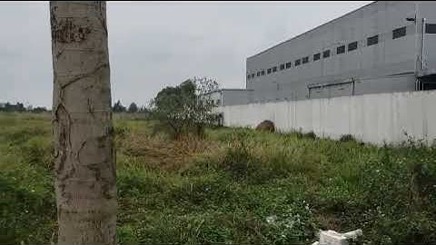 CHUYỂN NHƯỢNG LÔ ĐẤT 1 HA TRONG KHU CÔNG NGHIỆP PHÚ NGHĨA CHƯƠNG MỸ, HÀ NỘI.