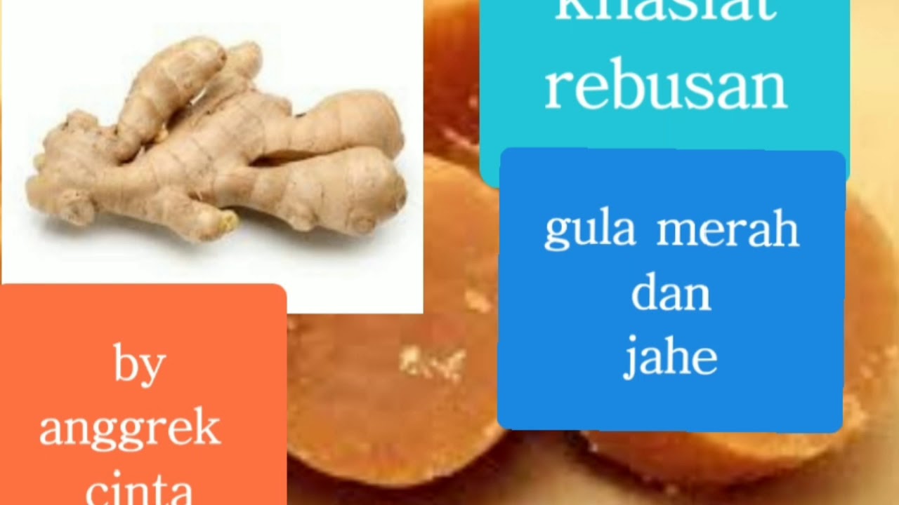 manfaat rebusan jahe dan gula kelapa merah #alami #traditional #jahe #
