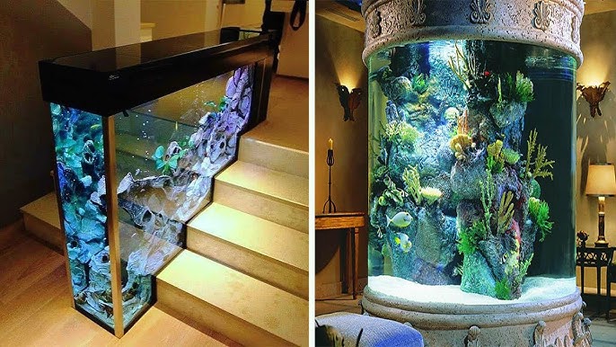 Best Home Aquarium