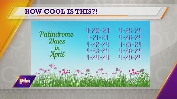Daily Dish | Palindromes of 2024