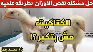 حلقه٣ || علاج مشكله نقص الاوزان بطريقه علميه وزاي نزود وزن الفراخ السرده مع دكتور محمد