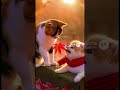秋深し　みんなで仲良く #おもしろ動画 #pets #三毛猫 #ai動画 #cat #funny #ポメラニアン
