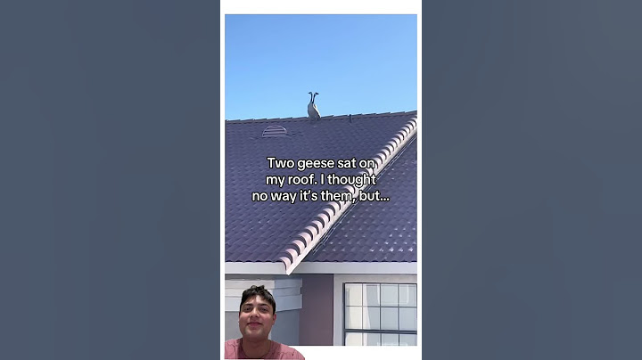 This video made my day 🙁❤️ #youtubeshorts #youtube #viralvideo
