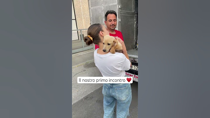 First love ♥️ #reaction #puppy #love #puppy #dogs #adoption #dog #emotions