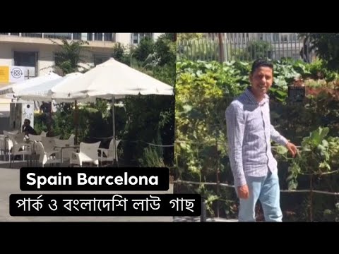 Barcelona পার্ক ও বাংলাদেশি লাউ গাছ